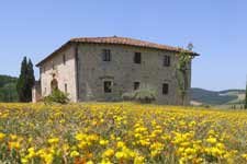 Tuscan Spring