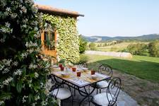 panoramic terrace with jasmine