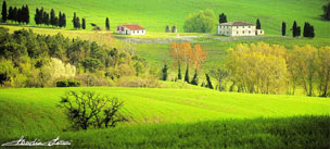 cartolina Toscana