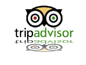 Tripadvisor Tuscany villa