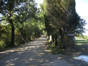 stradina di pignano