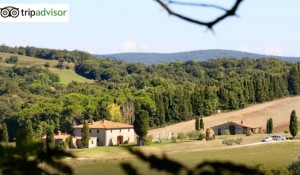 corsi di yoga in villa toscana