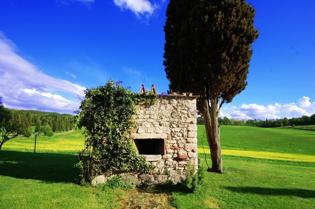 Forno in pietra a legna per pizze