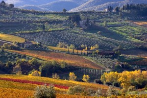 affitto villa in chianti