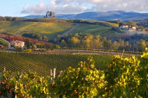 panorama delle colline del chianti